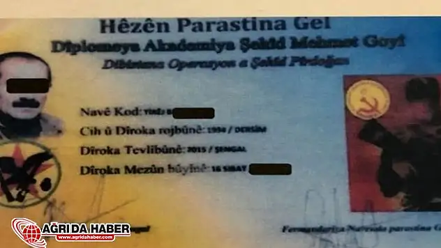 Afrin'de Yakalanan Terörist'ten Şok Kandil Deşifresi!