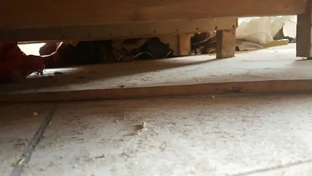 Afrin'de tuzaklanan patlayıcılar imha ediliyor