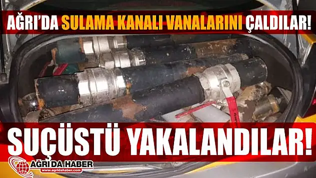 Ağrı'da Sulama Kanallarına Ait Vanaları Çalanlar Suçüstü Yakalandı!