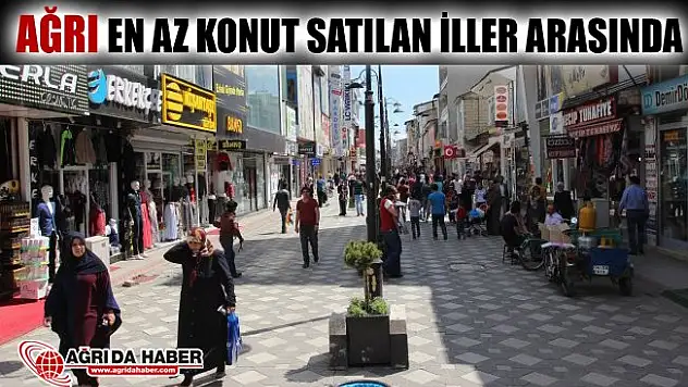 Ağrı Türkiye'nin En az Konut Satılan Şehirlerinden biri oldu