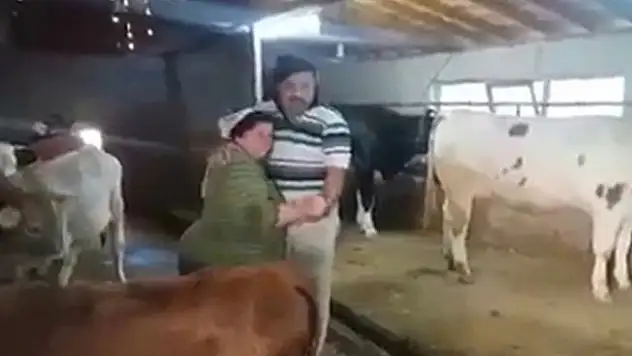 Ahırda şarkı söyleyip, dans eden çift fenomen oldu