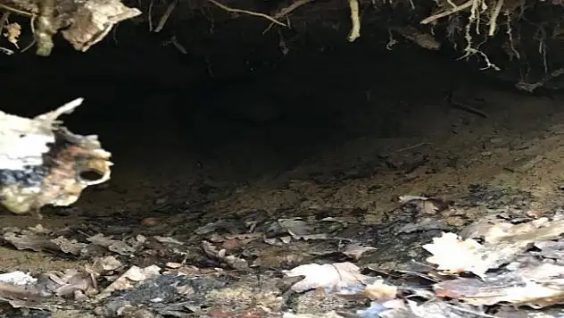 Biri TOW füzesi ile tuzaklanmış 9 sığınak imha edildi