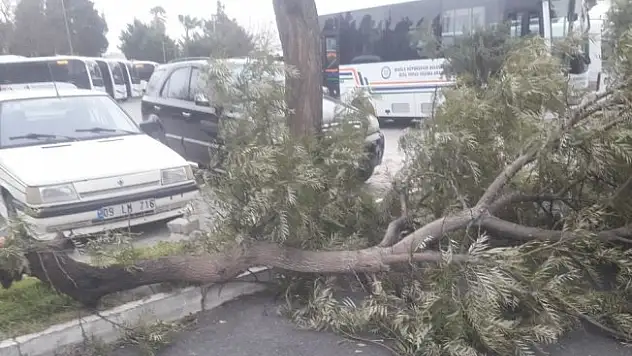Bodrum'da fırtına hayatı felç etti