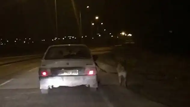 Bu nasıl insan !