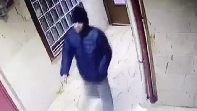 Cani evladın soğukkanlılığı kamerada