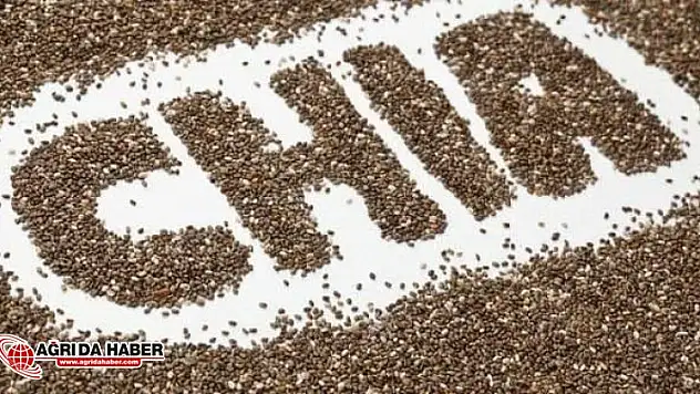 Chia Tohumu Nedir? Chia Tohumu Nerede Kullanılır? Chia Tohumu Tok Tutar Mı?