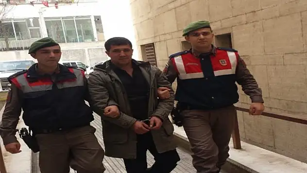 Devriye gezen jandarma PKK üyesini yakaladı