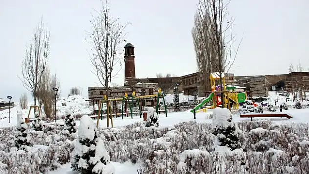 Doğu Anadolu'da kar etkili oluyor
