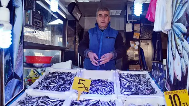 Hamsi fiyatı hızla düşüşe geçti