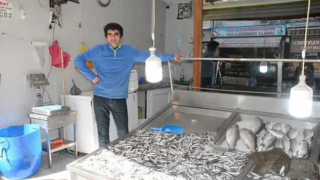 Hamsi yeniden tezgahlarda