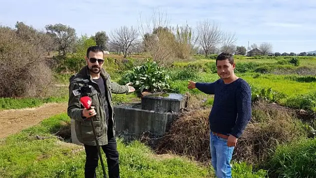 İnekler, gazeteciyi korkuttu
