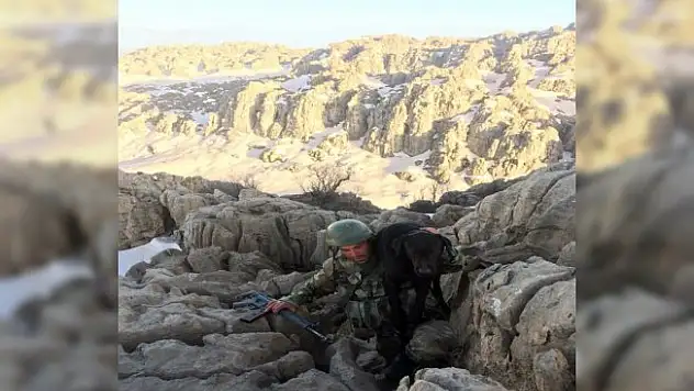 İşte fedakar Türk askeri