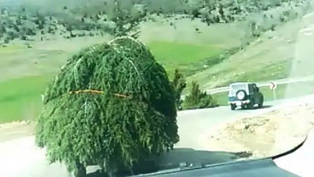 Kamyonet değil otomobil