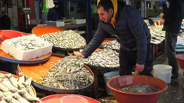Karadeniz'de hamsi ve mezgit tehlikede