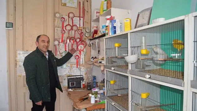 Milyonluk binayı kuşlara tesis etti