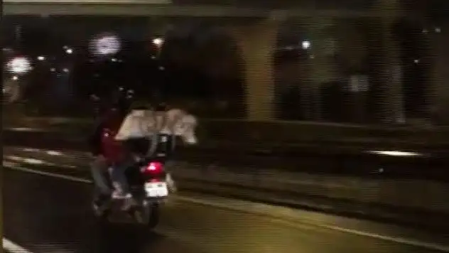 Motosiklet üzerinde tehlikeli yolculuk