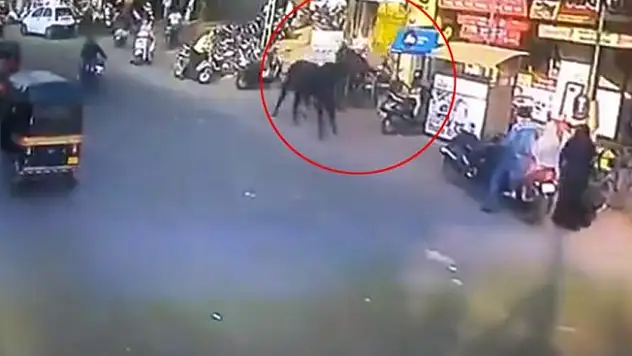 Öfkeli boğa insanlara saldırdı: 2 yaralı