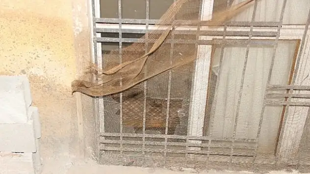 Pencereden ateş açıldı: 2 yaralı
