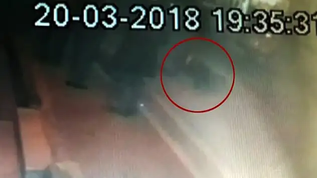 Pompalı tüfek dehşeti kamerada