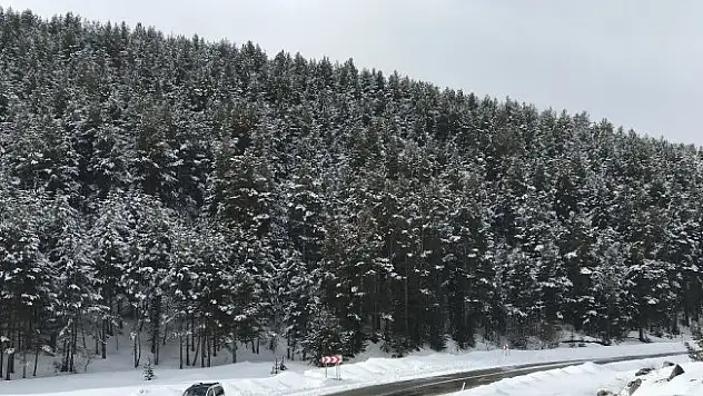 Sarıkamış'ta kartpostallık kar görüntüleri