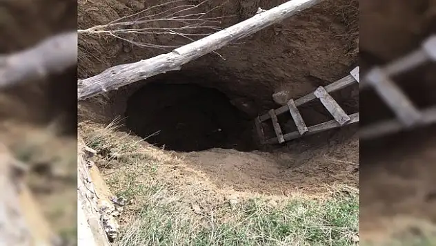Sit alanında kaçak kazıya operasyon: 5 gözaltı