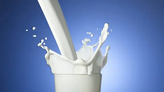 Süt üretimi 20 milyon tonu aştı