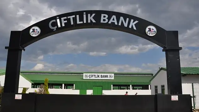 Tabelaları söküldü