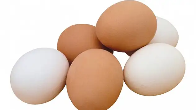 Tavuk yumurtası üretimi azaldı
