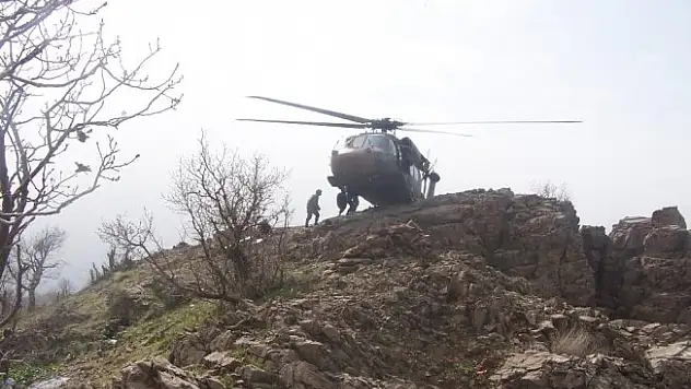 Tel Rıfat'ta 2 köye operasyon
