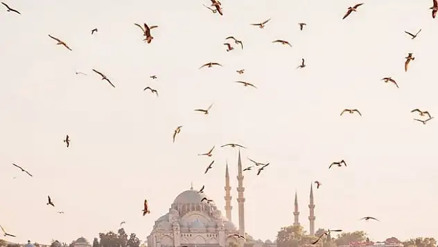 Türkiye ilk 5'te: En fazla takipçiye sahip ülkelerden biri