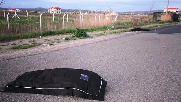 Yoldan çıkan otomobil 2 kadını biçti