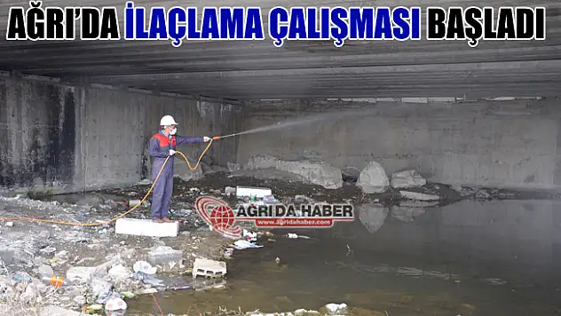 Ağrı'da Haşerelere Karşı İlaçlama Çalışması Başladı