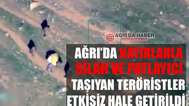 Ağrı'da Katırlarla Silah ve Patlayıcı Taşıdılar!