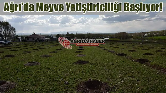 Ağrı'da Meyve Yetiştiriciliği ve Geliştirmesi Projesi Hayata Geçti