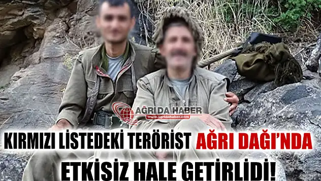 Kırmızı Listedeki Terörist Ağrı Dağı'nda Etkisiz Hale Getirildi