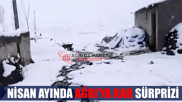 Nisan'da Ağrı'ya Kar Sürprizi