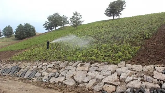 Ağrı'da Çevre Düzenlemeleri Devam Ediyor