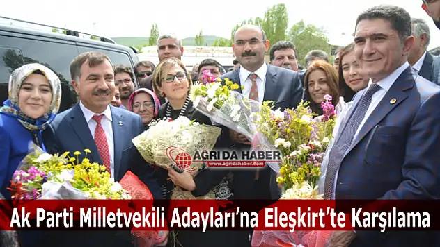 Ak Parti Ağrı Milletvekili Adayları Eleşkirt'te Çiçeklerle Karşılandı