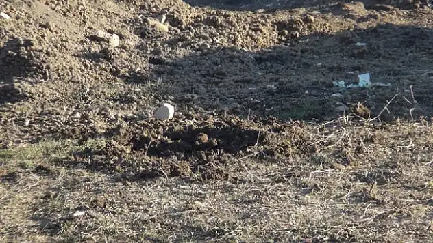 Nusaybin'de Patlayan Cisim 1 Çocuğun Hayatına Mâl Oldu