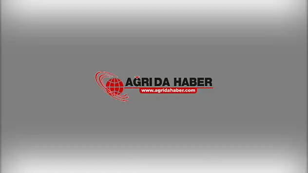 Ağrı'da Göçmenleri Taşıyan Minübüs kaza yaptı: 37 Yaralı