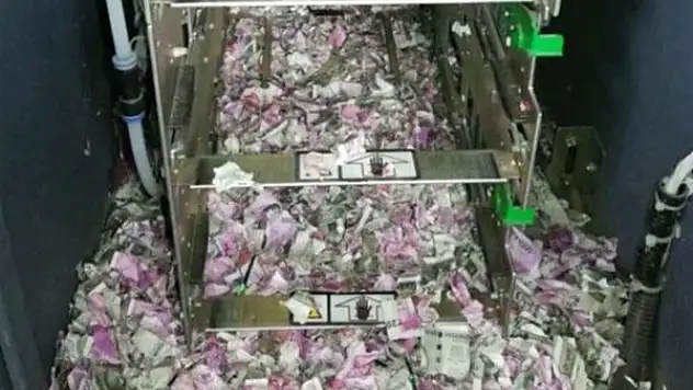 Hindistan'da ATM'ye Giren Fareler Toplam 9 Milyon TL'yi Yedi