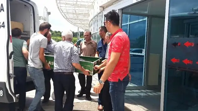 Üniversite Öğrencisine Çarpan Yaşlı Adam Canına Kıydı