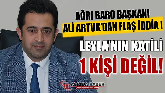 Ağrı Baro Başkanı Ali Artuk, Leyla Aydemir'in katili 1 kişi değil!
