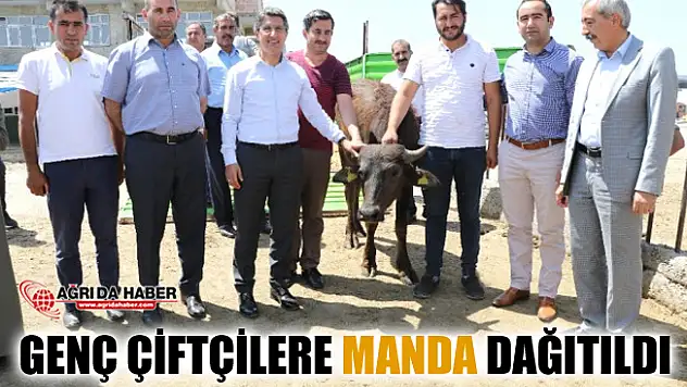 Ağrı'da Genç Çiftçi Projesi ile Genç Çiftçilere Manda Dağıtıldı