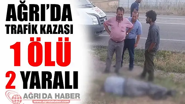 Ağrı'nın Doğubayazıt İlçesinde Trafik Kazası 1 Ölü 2 Yaralı!