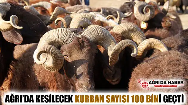 Ağrı'da Bu Yıl 130 Bin Küçükbaş Hayvan Kurban Edilecek