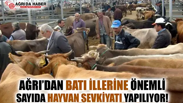 Ağrı'dan Batı İllerine Önemli Sayıda Hayvan Sevkiyatı