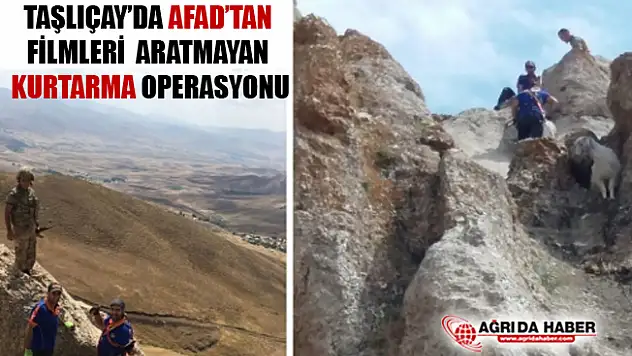 Ağrı Taşlıçay'da AFAD'tan Zorlu Keçi Kurtarma Operasyonu