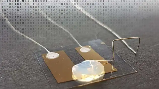 Almanya'nın Tek Atomlu Transistör Üretimi