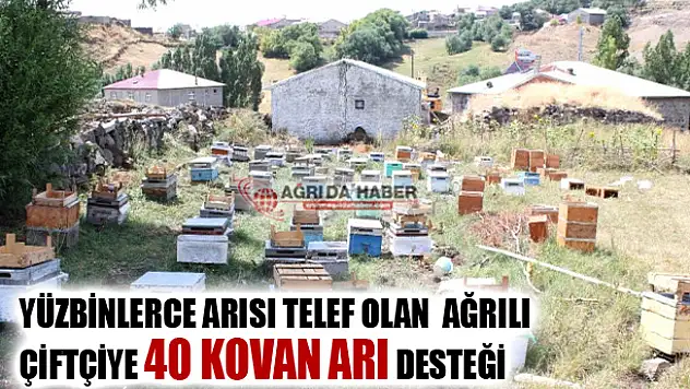Yüzbinlerce Arısı Telef Olan Ağrılı Çiftçiye 40 Kovan Arı Desteği